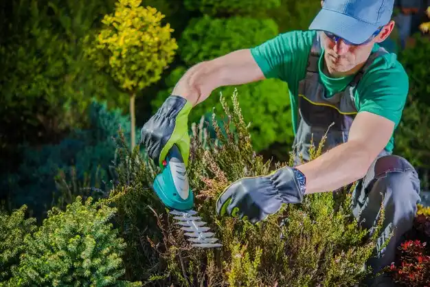 landscaping services Beechmont
